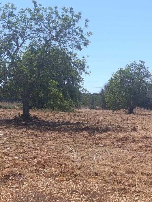 Terreno Rústico Algarve vende-se