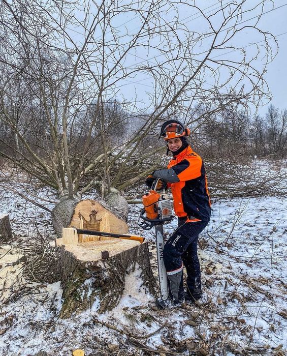 Wycinka i pielęgnacja drzew, frezowanie pni, usługi rębakiem