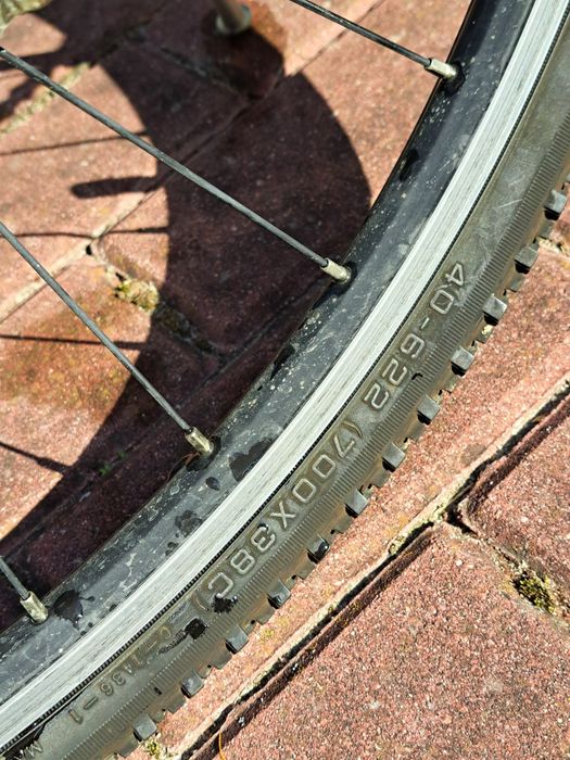 Rower Specialized crosstrial sport xl