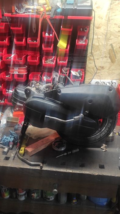 Suzuki lets  3  new бабочк
