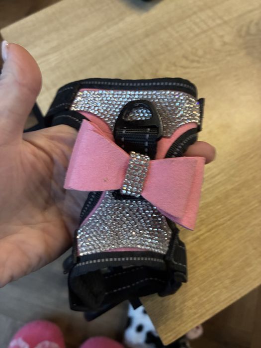 Szelki dla psa z kokardka