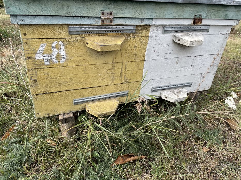 Продам улья700 гр в доброму стані