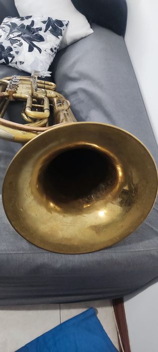 Tuba em Si bemol