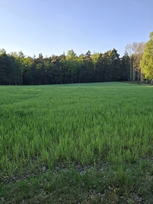 Dwie działki na sprzedaż w Nowostawach Dolnych