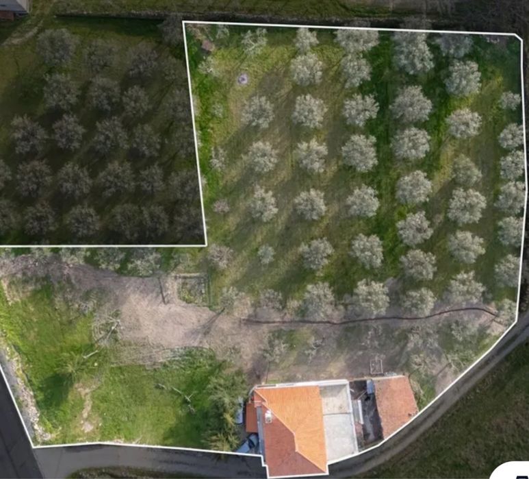 Moradia T3 com 2.500 m2 de Terreno e Garagem