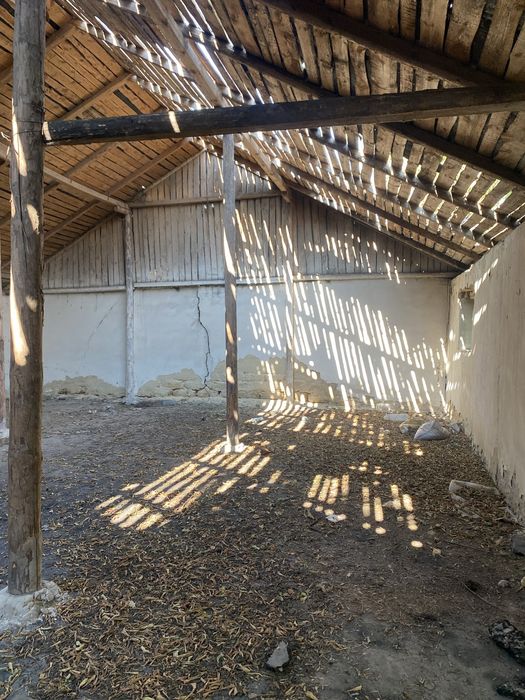 Зерносклади 2750 кв.м. Вся земля заасвальтована