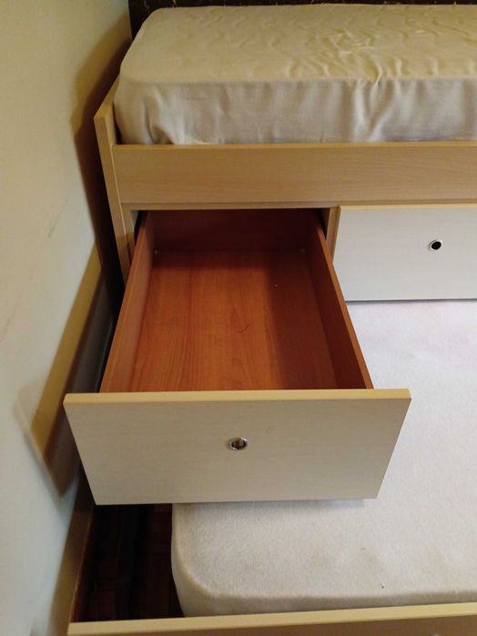 Procuro Um Novo Mini Humano Que Me Dê Uma Nova Vida