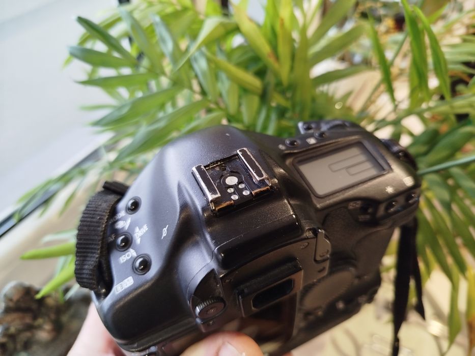 Canon eos 1D mkII n