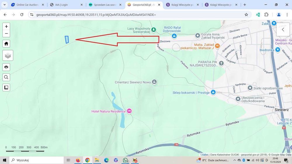 Sprzedam las sosnowy 15500m2 Siewierz powiat Będzin