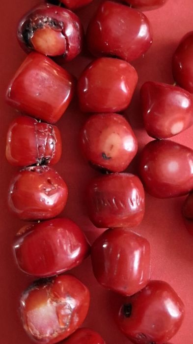 Korale z kamienia koral