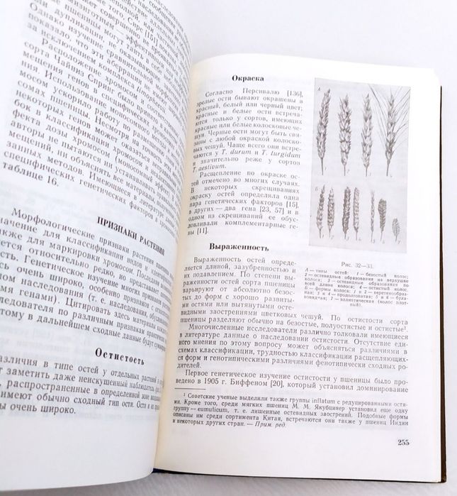 ПШЕНИЦА и ее улучшение виды выращивание уход селекция болезни помол