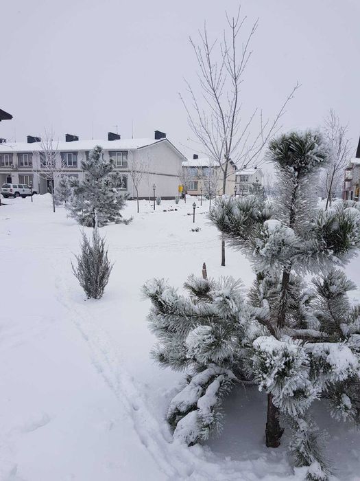 продаж будинку з газовим опаленням