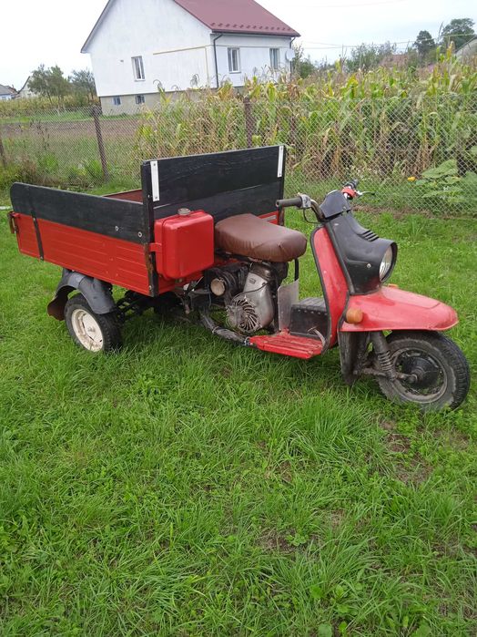 Муравей  з документами все перебране