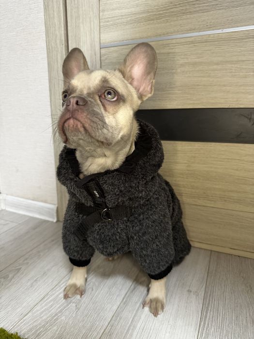 Шубка для собачки