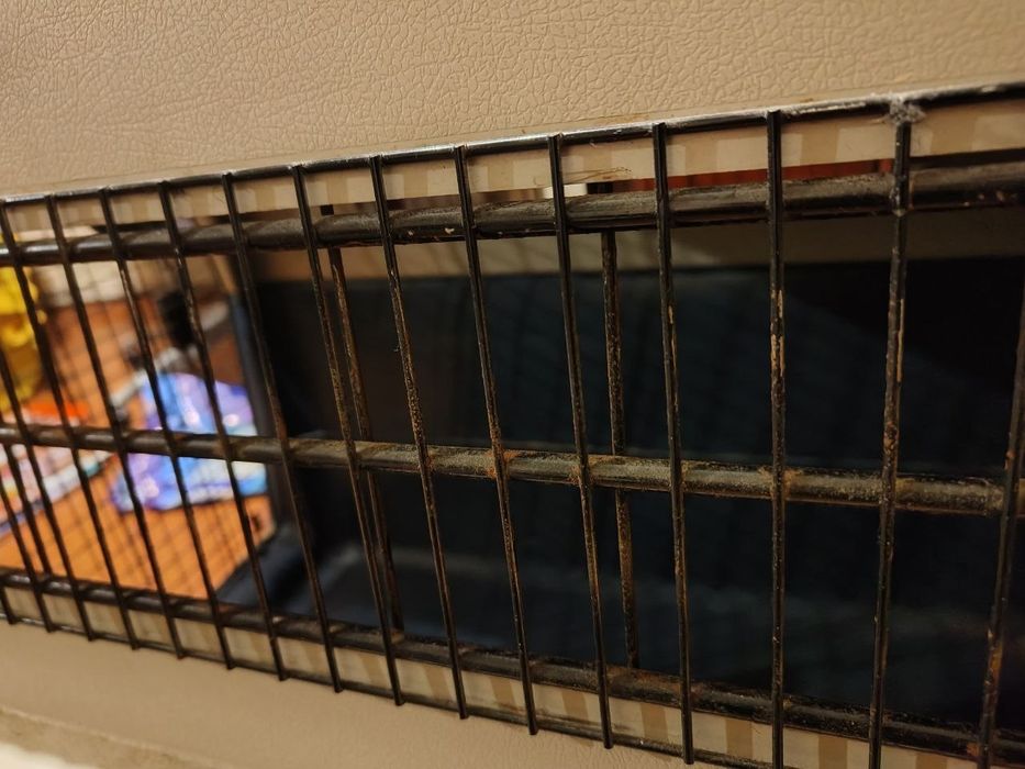 Великий бокс для собаки