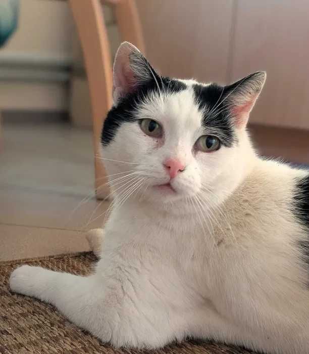 Kochana, rozgadana Kaja szuka domu