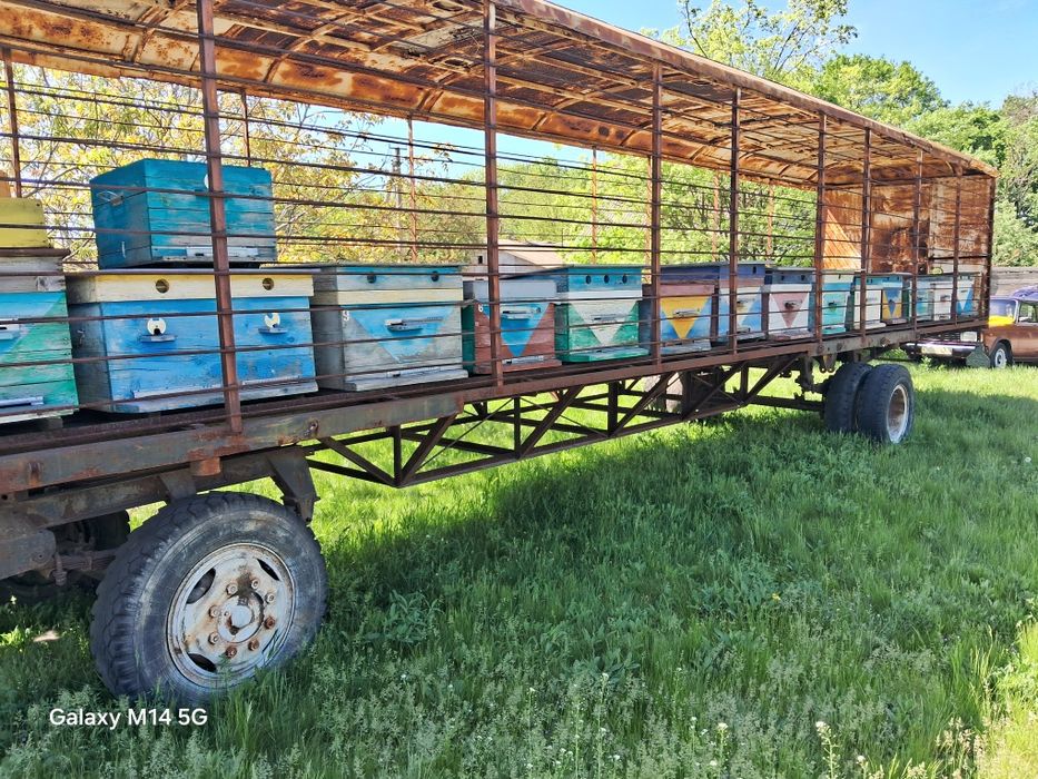 Продам пасіку (бжолопавільон)