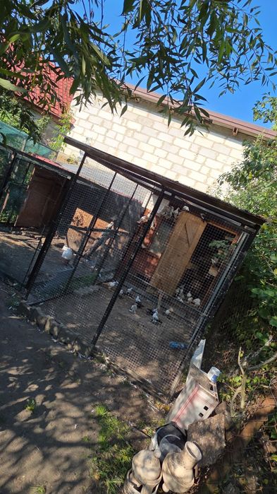 Gołebnik z wyposażeniem i woliera