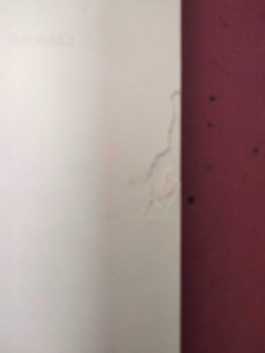 História do 28 de Maio - Eduardo Freitas da Costa