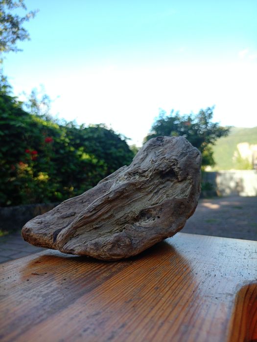 Морена коряга в акваріум