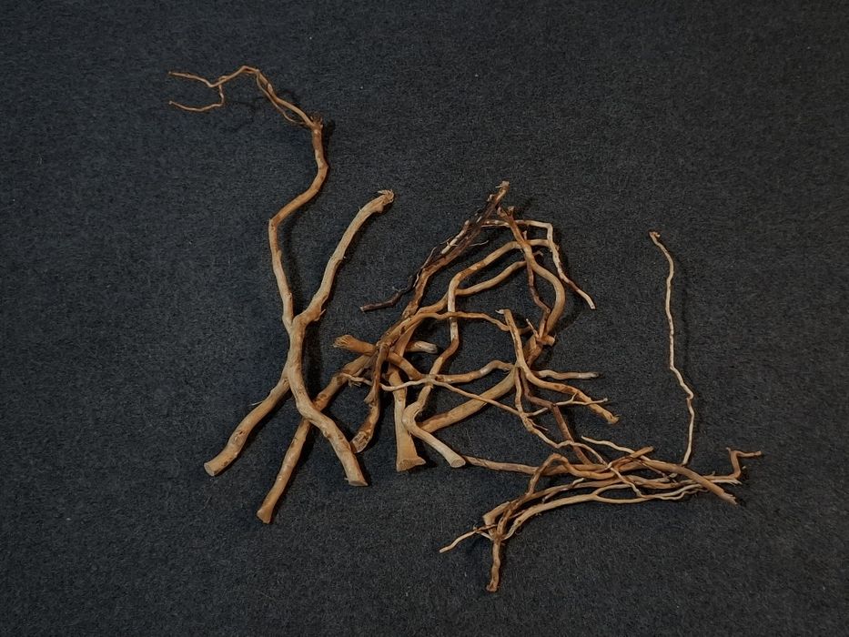 Tronco para aquário plantado - Novo 9 €