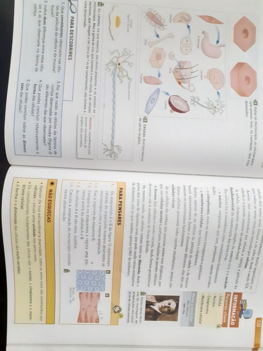 Manual e caderno de atividades Magia da Terra - Ciências 5º ano