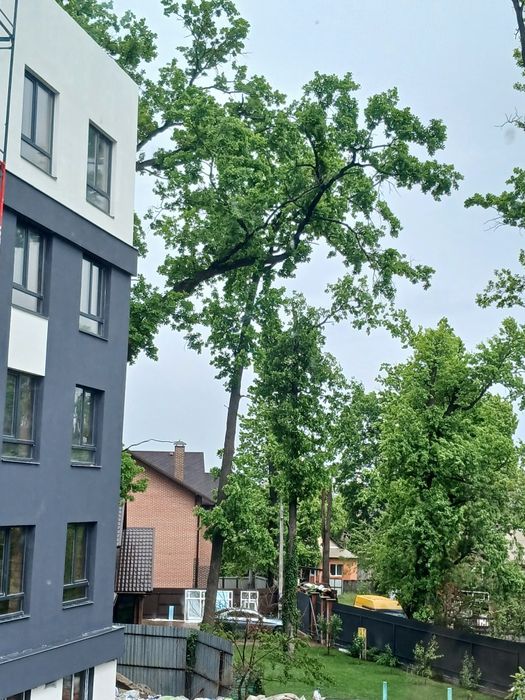 1к с Двориком и возможностью увеличить жилые м2. Локация Школа/Озеро!