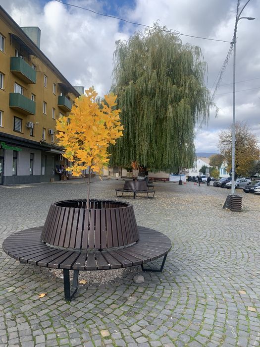 Живоплот жива огорожа посадка