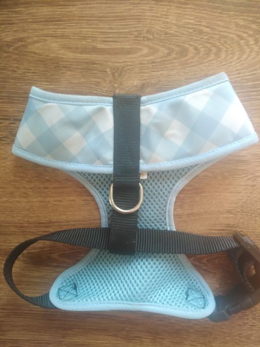 Szelki dla małego psa