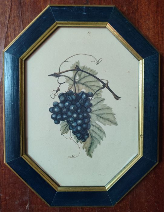 Conjunto de 4 quadros pequenos com frutas