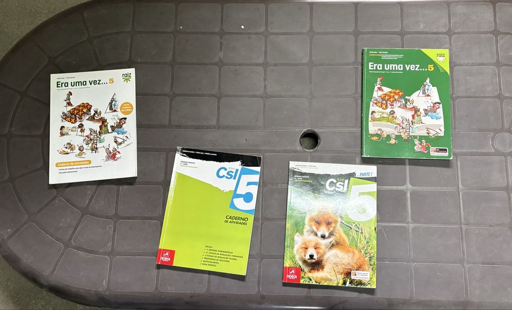 Manuais/Livros escolares (Manuais e CA) (4€)