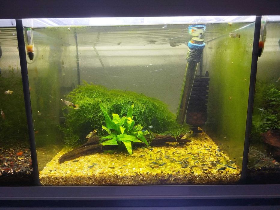 Iluminação de aquário armadura Led 60-75cm