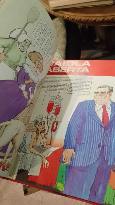 Um Ano com a Gaiola Aberta José Vilhena