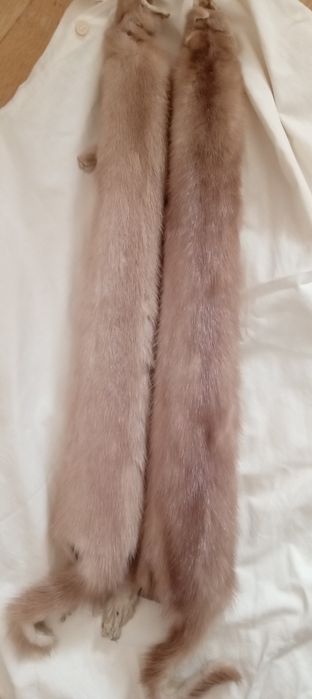 Шкурки норки (чулок)