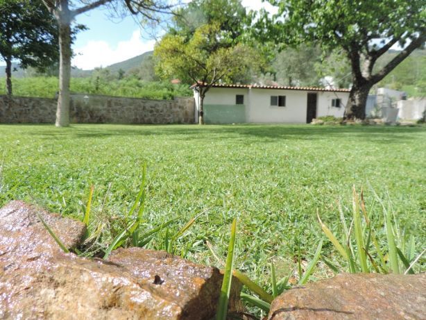 Escalracho para entrega ou envio