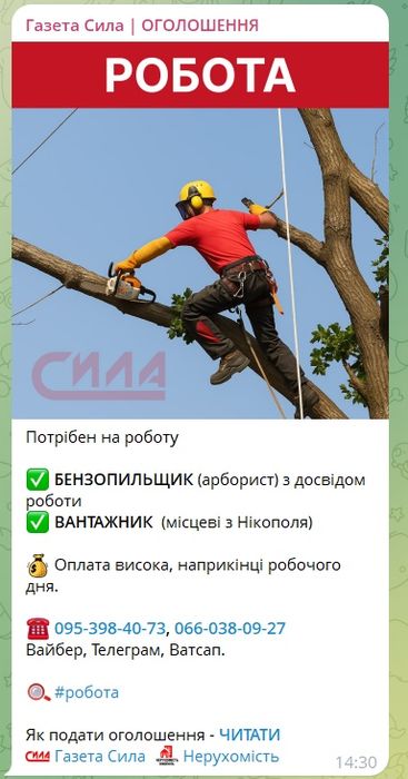 Возьму в Дар Дерево