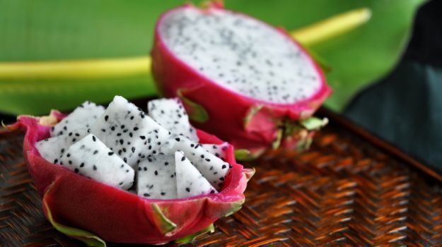 Estacas de Pitaia | Pitaya | Fruta do Dragão