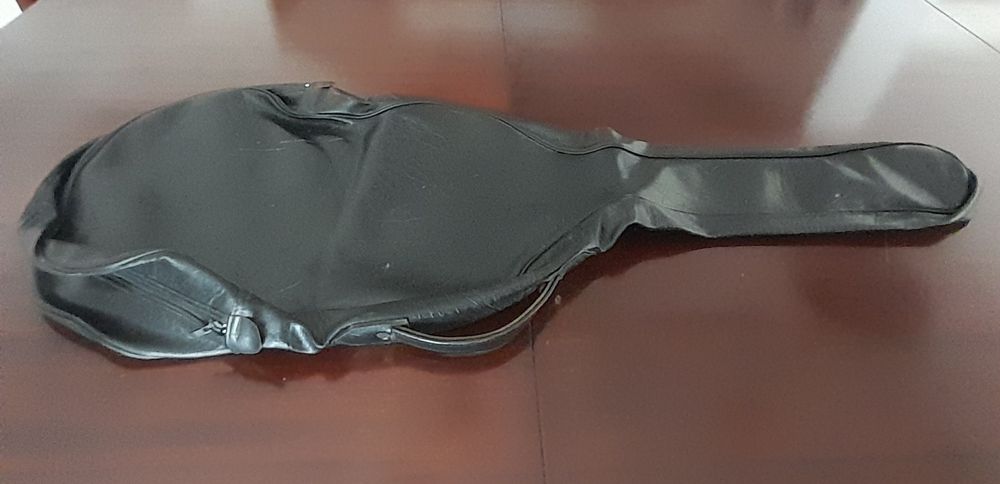 Capa de viola clássica