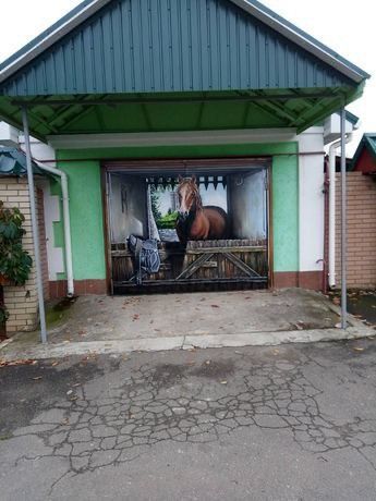 Художественная роспись стен. Художник. Валентин Филоненко