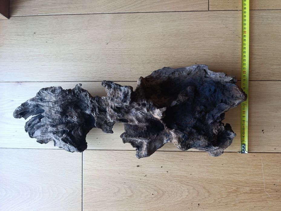 Korzenie do akwarium