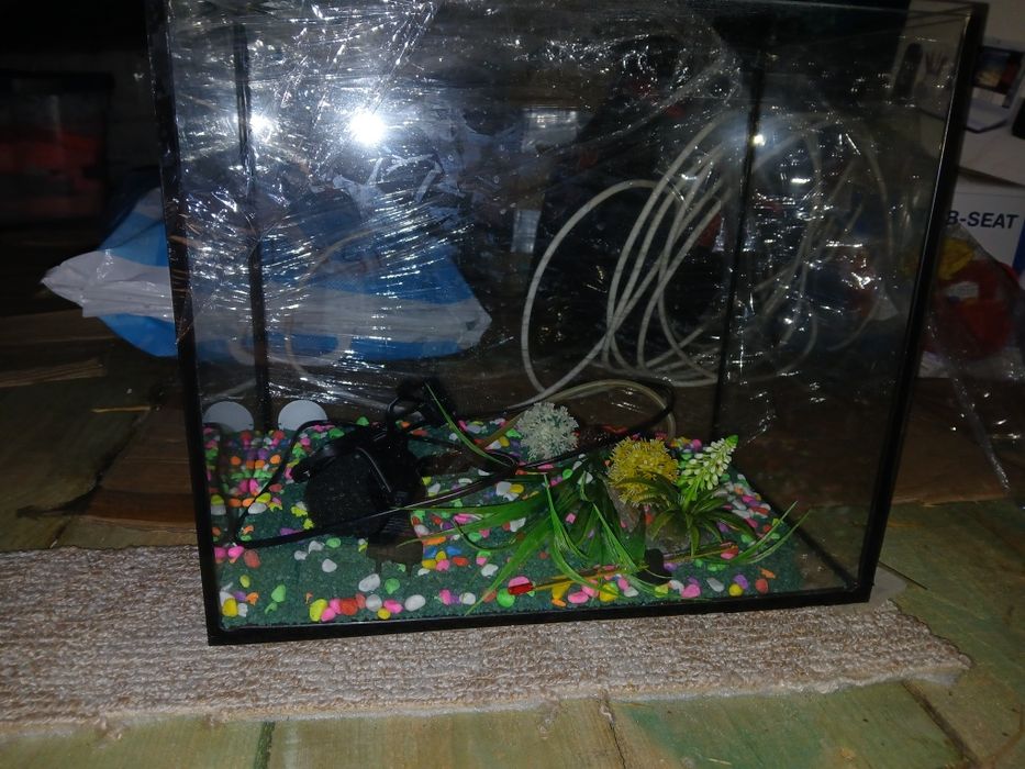 Акваріум , фільтр.