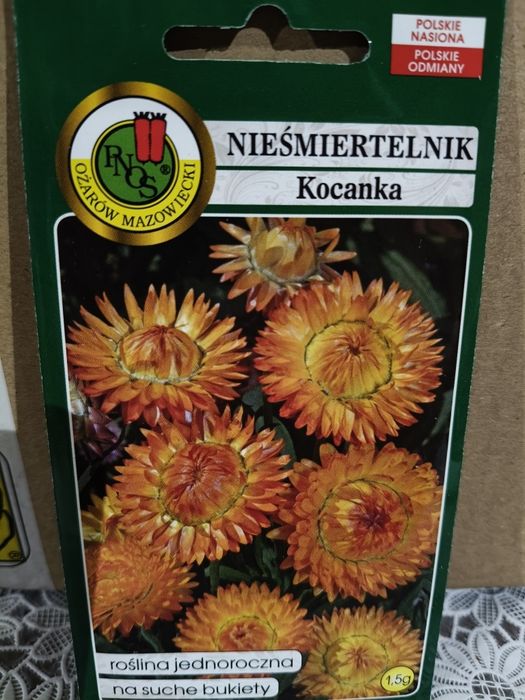 Nieśmiertelnik Kocanka nasiona