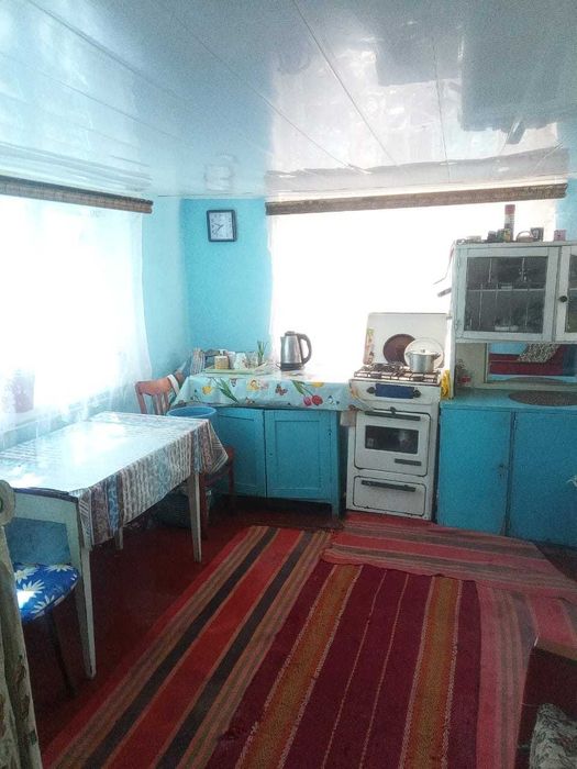 Продам дом с.Понятiвка