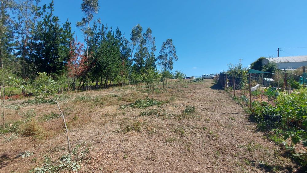 Terreno na figueira da foz (asseiço)