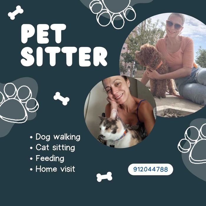 Pet sitter | dog walker | Cães e Gatos