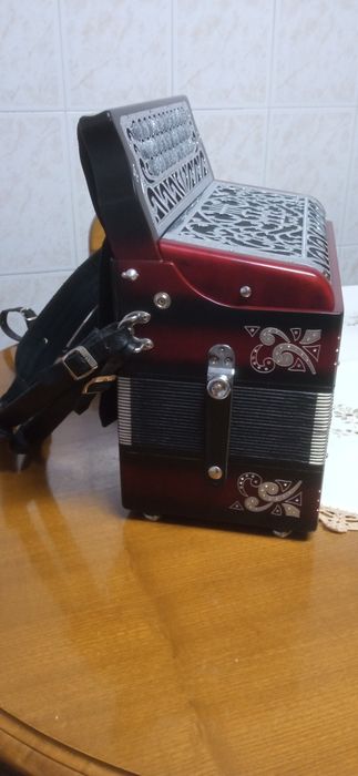 Concertina dino baffetti