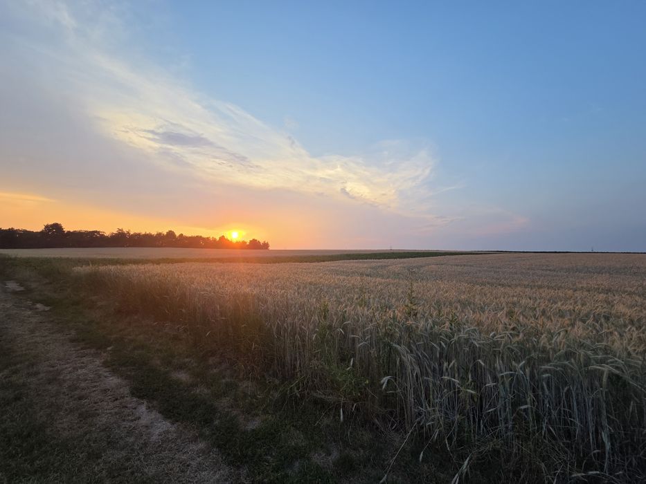 Ogromny potencjał- HEKTAR pod zabudowę zagrodową!