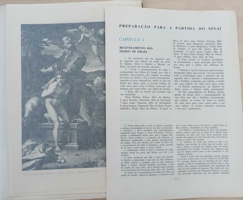 Bíblia em fasciculos