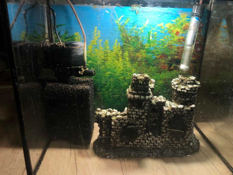 Акваріум  зі всім комплектом