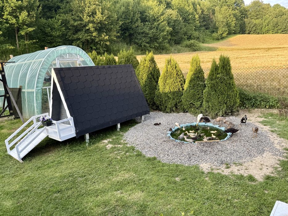 Drewniany domek premium dla kaczek i kur KACZNIK KURNIK